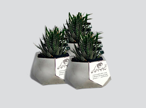 گلدان  کاکتوس تبلیغاتی 